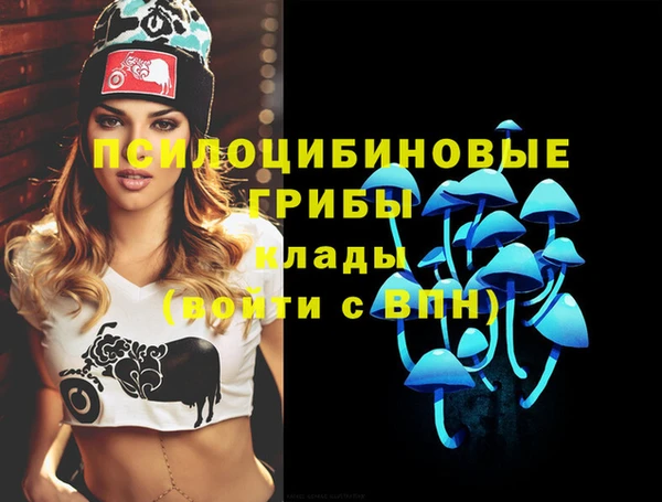 МДПВ Абинск