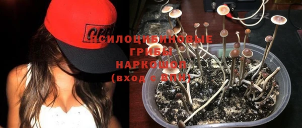 бутират Алексеевка
