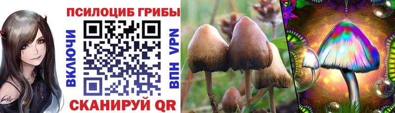 где найти наркотики Зарайск Псилоцибиновые грибы Psilocybe